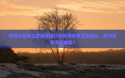 如何从楚雄出发选择旅行社畅游云南玉龙雪山，解决高原反应难题？