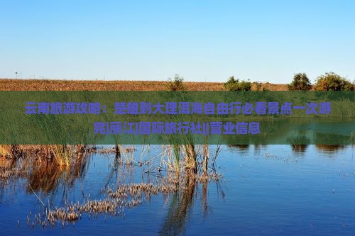 云南旅游攻略：楚雄到大理洱海自由行必看景点一次游完|丽江|国际旅行社||营业信息