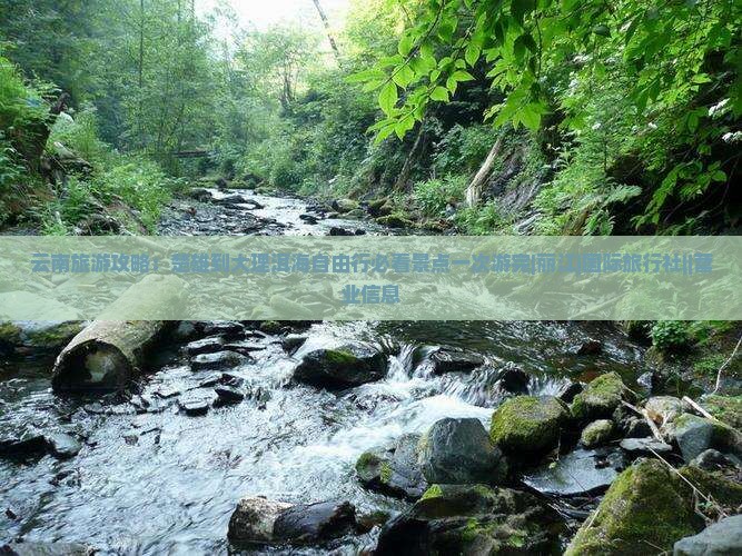云南旅游攻略：楚雄到大理洱海自由行必看景点一次游完|丽江|国际旅行社||营业信息