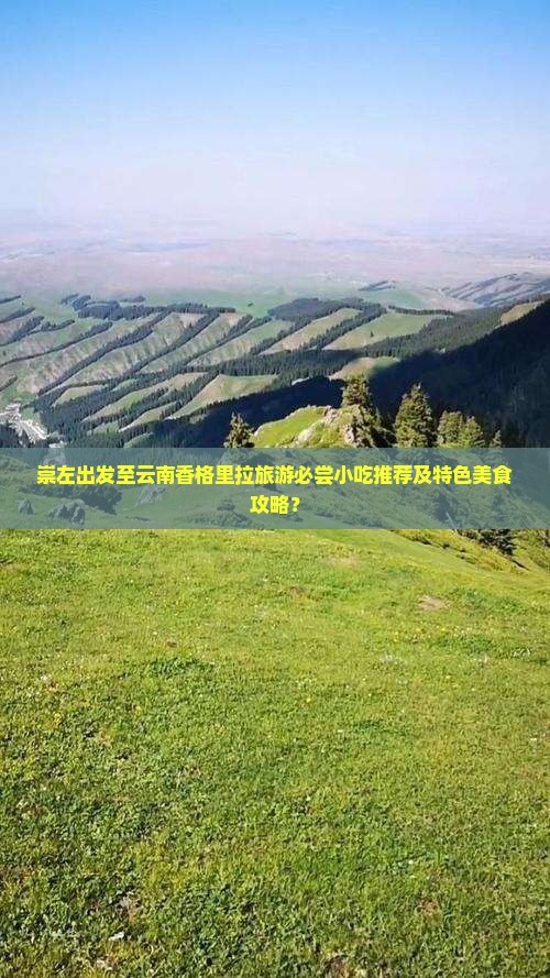 崇左出发至云南香格里拉旅游必尝小吃推荐及特色美食攻略？