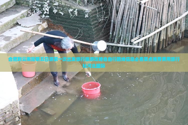 合肥到云南昆明五日游第一次出发旅行旅游攻略自由行路线信息必看景点推荐费用旅行社河北国际