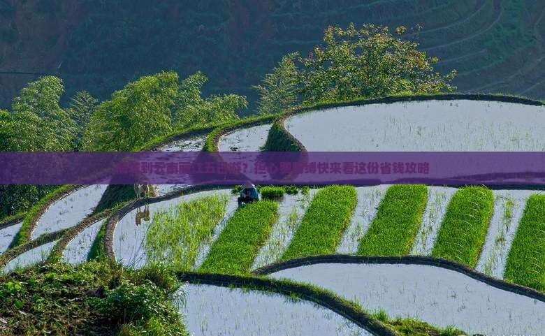 桐城到云南丽江五日游？担心费用缚快来看这份省钱攻略