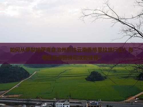如何从伊犁哈萨克自治州前往云南香格里拉旅行社？有哪些旅游路线和攻略推荐？