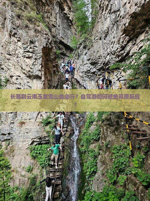 长葛到云南玉龙雪山自由行？自驾游如何避免高原反应？