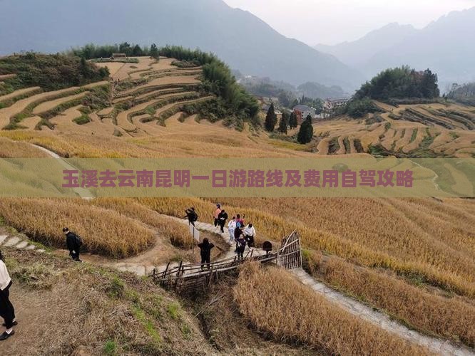 玉溪去云南昆明一日游路线及费用自驾攻略