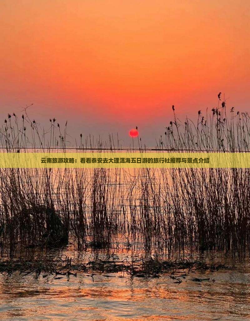云南旅游攻略：看看泰安去大理洱海五日游的旅行社推荐与景点介绍
