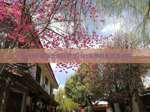 伊犁哈萨克去云南昆明旅行社推荐特色旅游线路