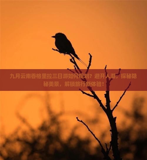 九月云南香格里拉三日游如何规划？避开人潮，探秘隐秘美景，解锁旅行新体验！