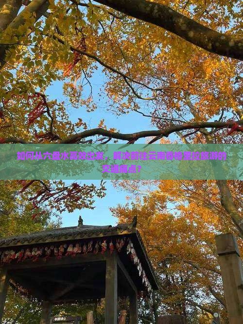 如何从六盘水高效出发，解决前往云南香格里拉旅游的交通痛点？