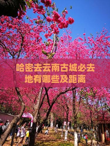 哈密去云南古城必去地有哪些及距离