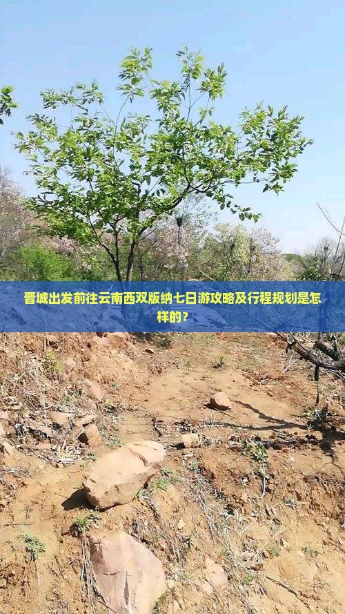 晋城出发前往云南西双版纳七日游攻略及行程规划是怎样的？