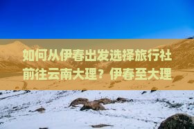 如何从伊春出发选择旅行社前往云南大理？伊春至大理有哪些旅行社提供旅游服务？