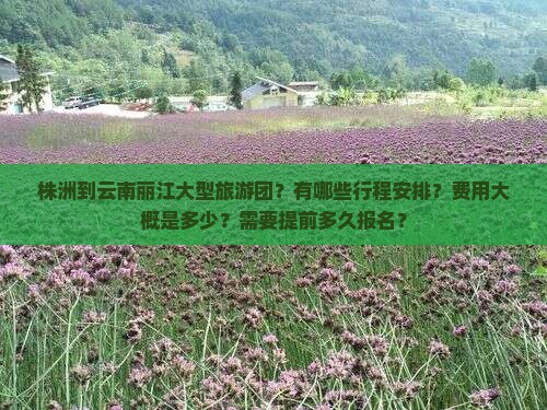 株洲到云南丽江大型旅游团？有哪些行程安排？费用大概是多少？需要提前多久报名？