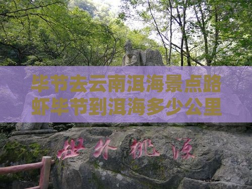 毕节去云南洱海景点路虾毕节到洱海多少公里