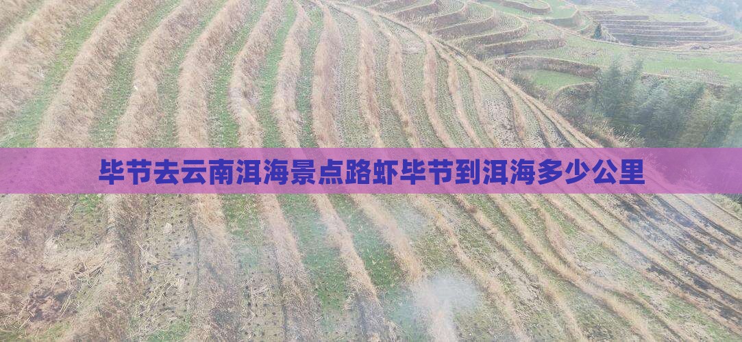 毕节去云南洱海景点路虾毕节到洱海多少公里