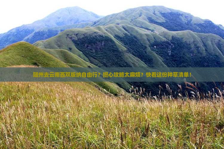 随州去云南西双版纳自由行？担心攻略太麻烦？快看这份种草清单！