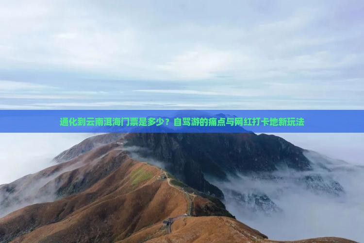 通化到云南洱海门票是多少？自驾游的痛点与网红打卡地新玩法