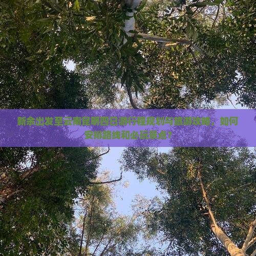 新余出发至云南昆明四日游行程规划与旅游攻略，如何安排路线和必玩景点？