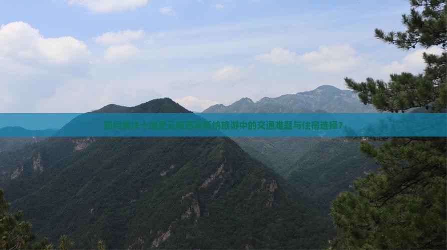 如何解决十堰至云南西双版纳旅游中的交通难题与住宿选择？