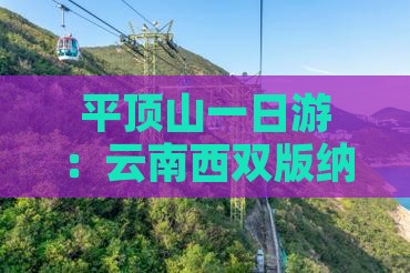 平顶山一日游：云南西双版纳风情之旅