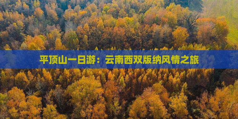 平顶山一日游：云南西双版纳风情之旅