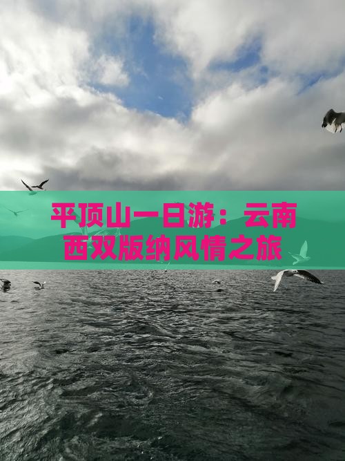 平顶山一日游：云南西双版纳风情之旅