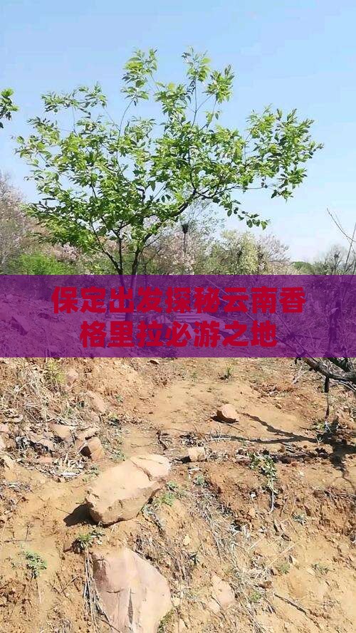 保定出发探秘云南香格里拉必游之地