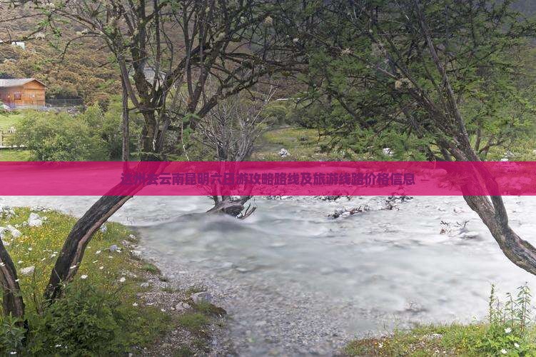 达州去云南昆明六日游攻略路线及旅游线路价格信息