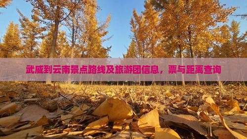 武威到云南景点路线及旅游团信息，票与距离查询