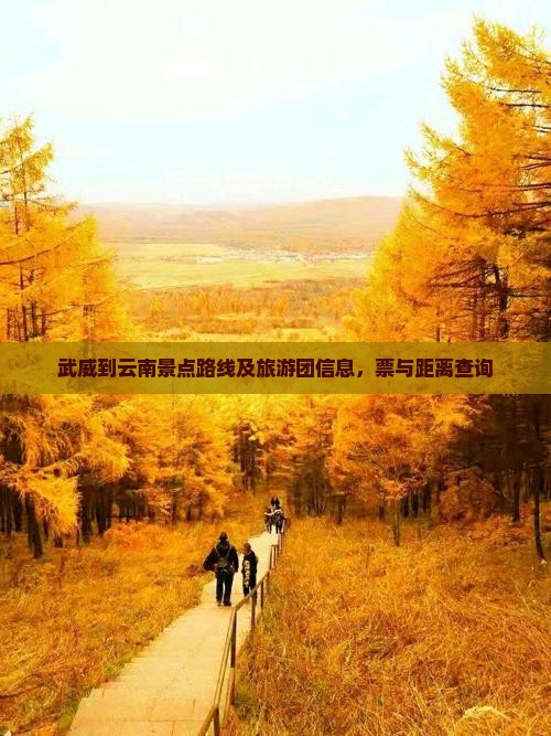 武威到云南景点路线及旅游团信息，票与距离查询