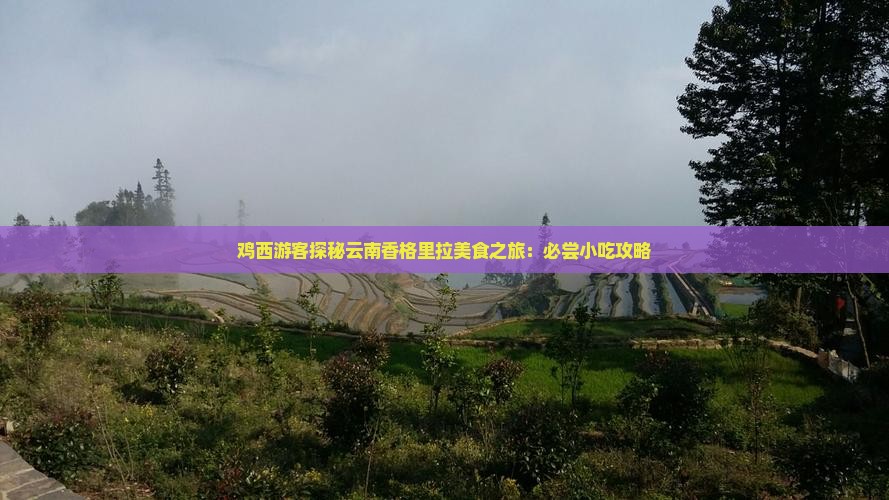 鸡西游客探秘云南香格里拉美食之旅：必尝小吃攻略