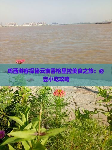 鸡西游客探秘云南香格里拉美食之旅：必尝小吃攻略