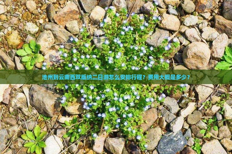 池州到云南西双版纳二日游怎么安排行程？费用大概是多少？