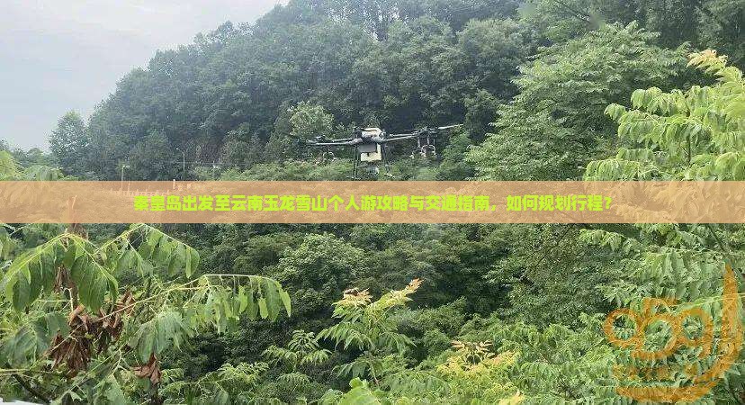秦皇岛出发至云南玉龙雪山个人游攻略与交通指南，如何规划行程？