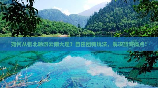 如何从张北畅游云南大理？自由团新玩法，解决旅游痛点！