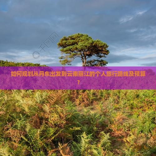 如何规划从丹东出发到云南丽江的个人旅行路线及预算？