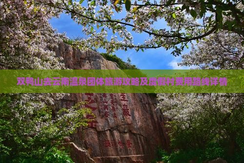 双鸭山去云南温泉团体旅游攻略及度假村费用路线详情