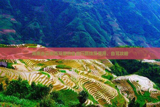 海南去云南西双版纳自由行路线及费用、自驾攻略