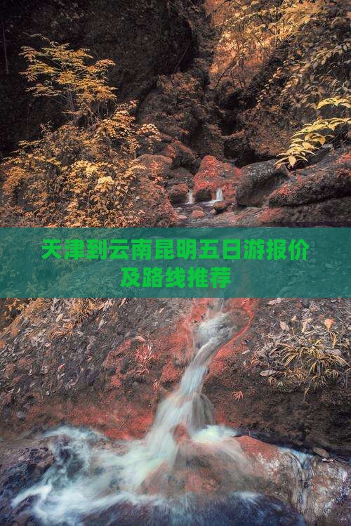 天津到云南昆明五日游报价及路线推荐