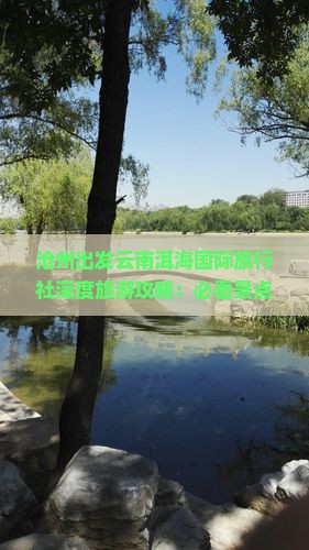 沧州出发云南洱海国际旅行社深度旅游攻略：必看景点与旅行路线精选