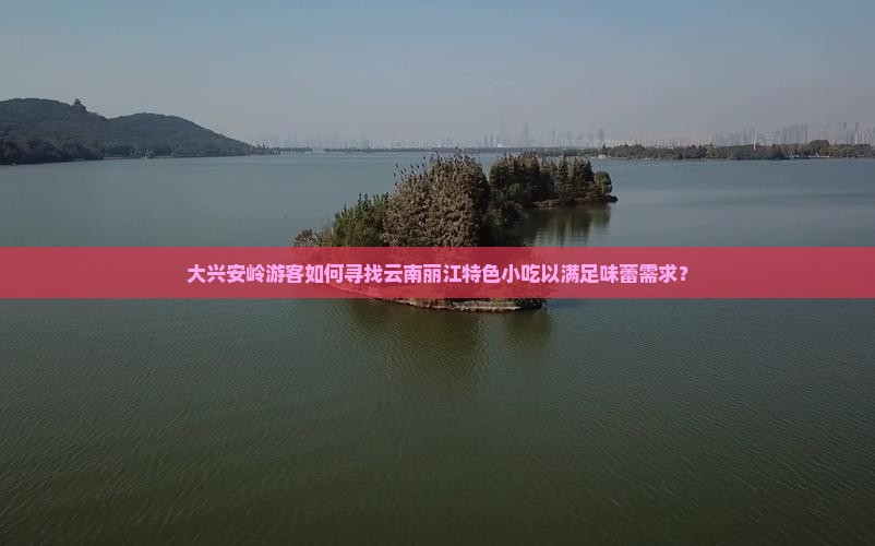 大兴安岭游客如何寻找云南丽江特色小吃以满足味蕾需求？