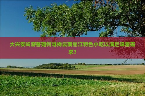 大兴安岭游客如何寻找云南丽江特色小吃以满足味蕾需求？