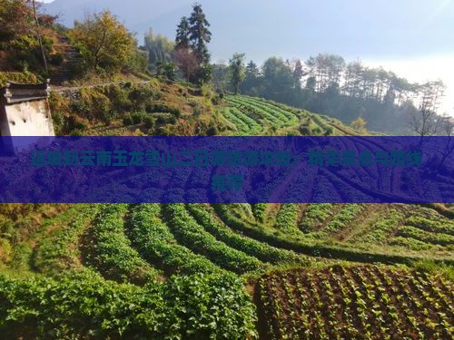 运城到云南玉龙雪山二日游旅游攻略：精华景点与路线推荐