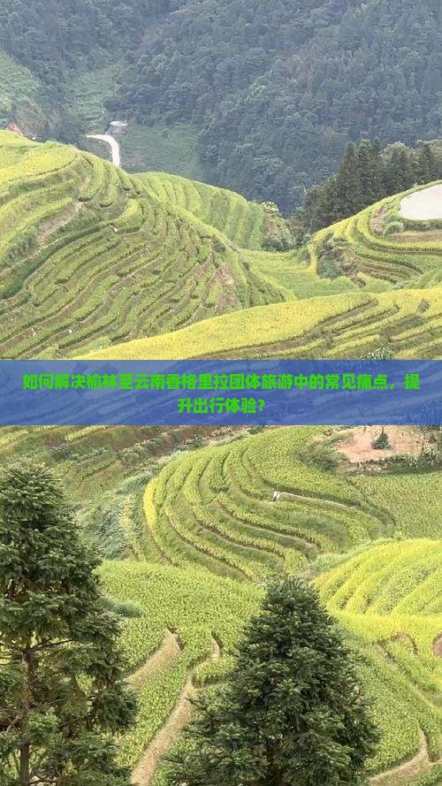 如何解决榆林至云南香格里拉团体旅游中的常见痛点，提升出行体验？