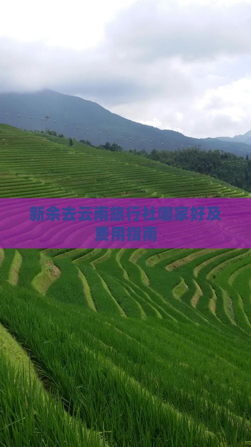 新余去云南旅行社哪家好及费用指南