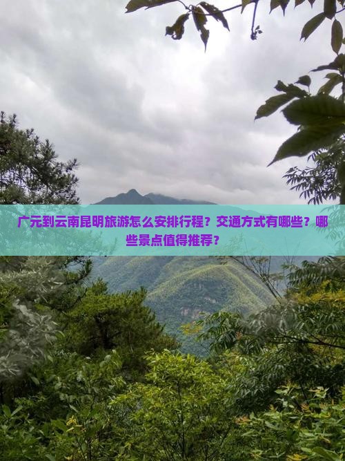 广元到云南昆明旅游怎么安排行程？交通方式有哪些？哪些景点值得推荐？