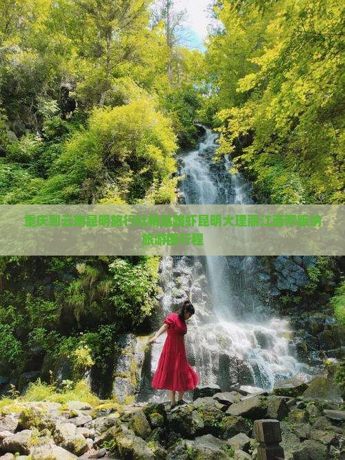 重庆到云南昆明旅行社精品路虾昆明大理丽江西双版纳旅游团行程