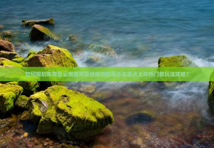 如何规划东莞至云南西双版纳旅游路犀必去景点大与热门新玩法攻略？
