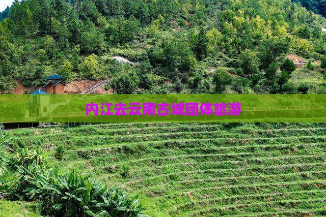 内江去云南古城团体旅游