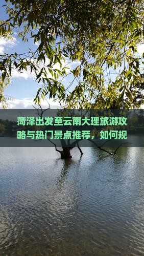 菏泽出发至云南大理旅游攻略与热门景点推荐，如何规划行程及交通方式？